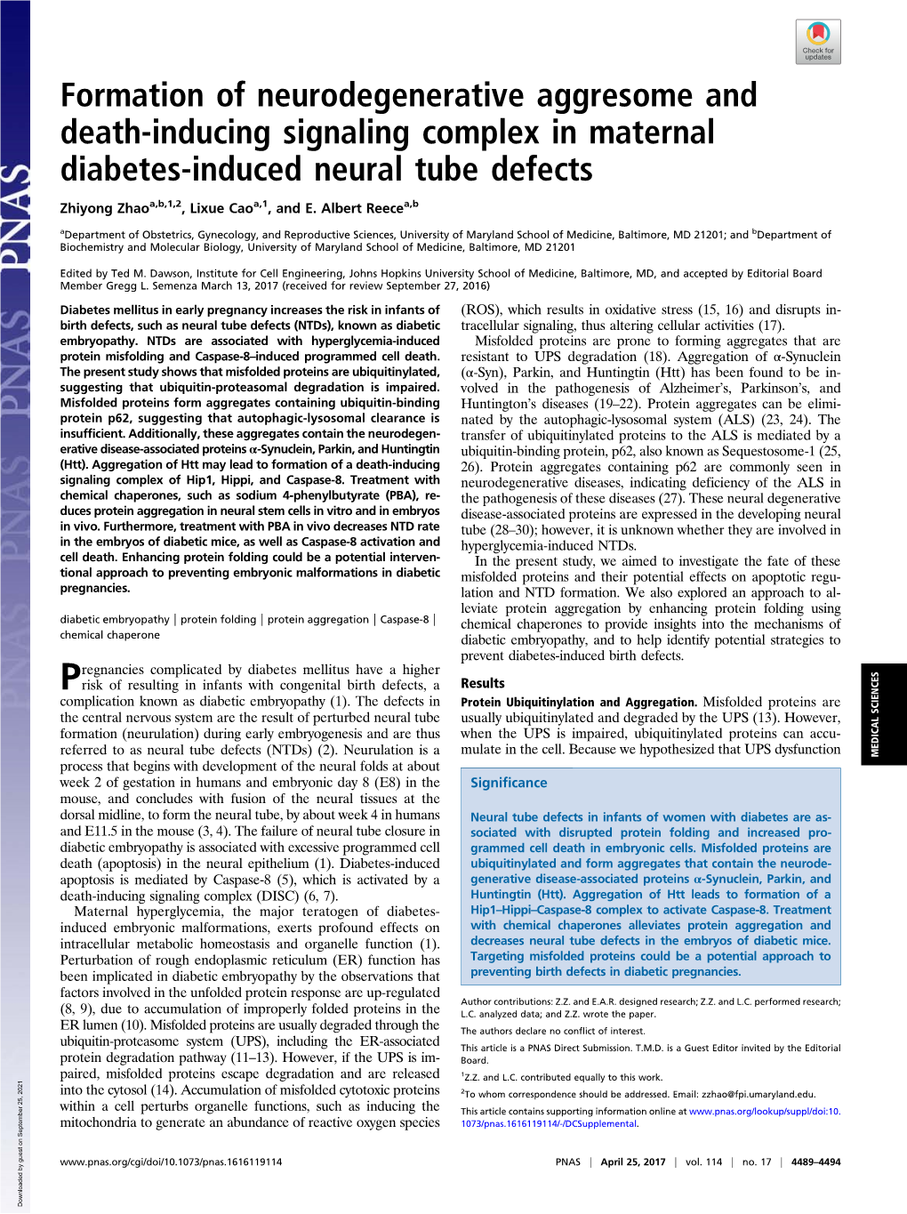 Formation of Neurodegenerative Aggresome and Death-Inducing Signaling Complex in Maternal Diabetes-Induced Neural Tube Defects