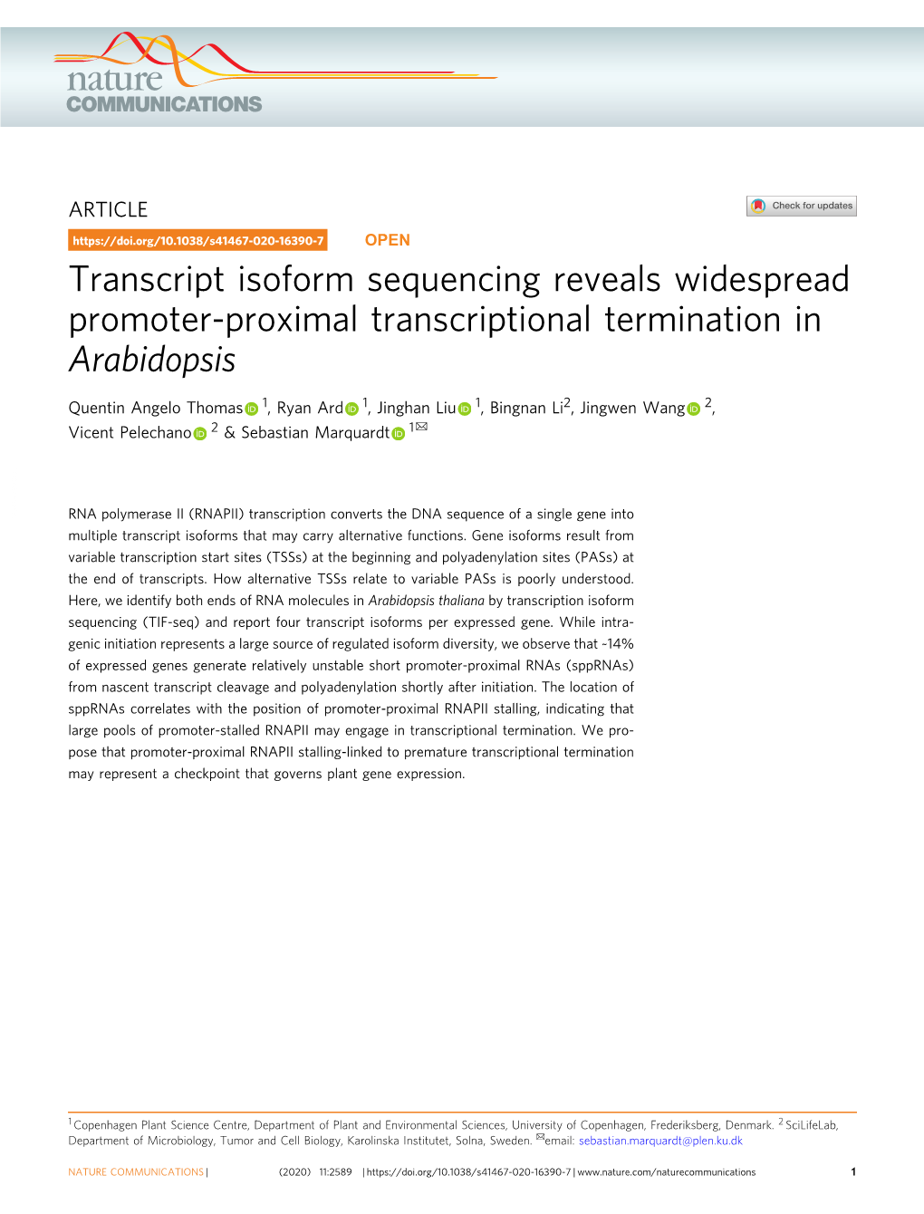 Transcript Isoform Sequencing Reveals Widespread Promoter-Proximal Transcriptional Termination in Arabidopsis