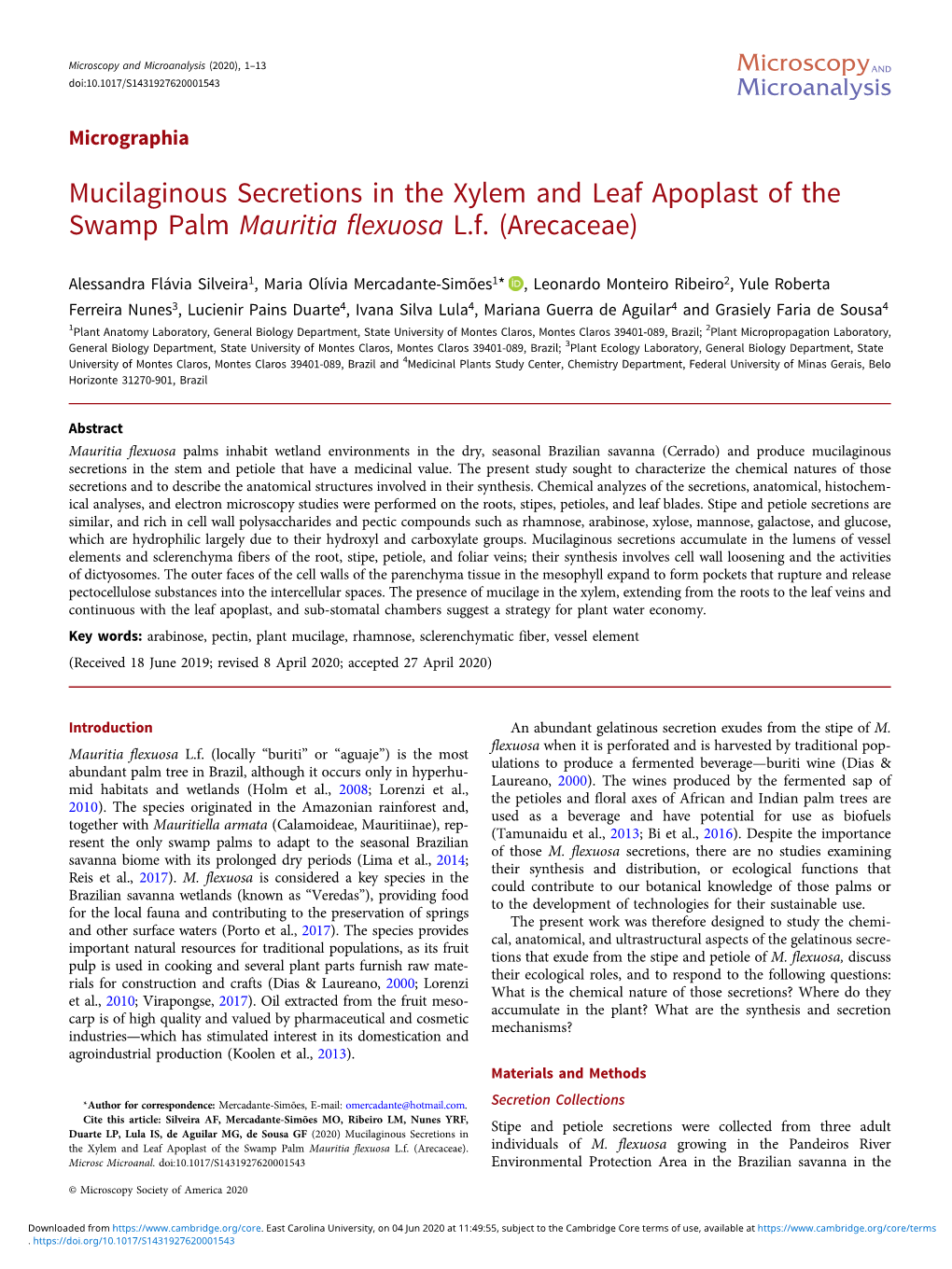 Mucilaginous Secretions in the Xylem and Leaf Apoplast of the Swamp Palm Mauritia Flexuosa L.F