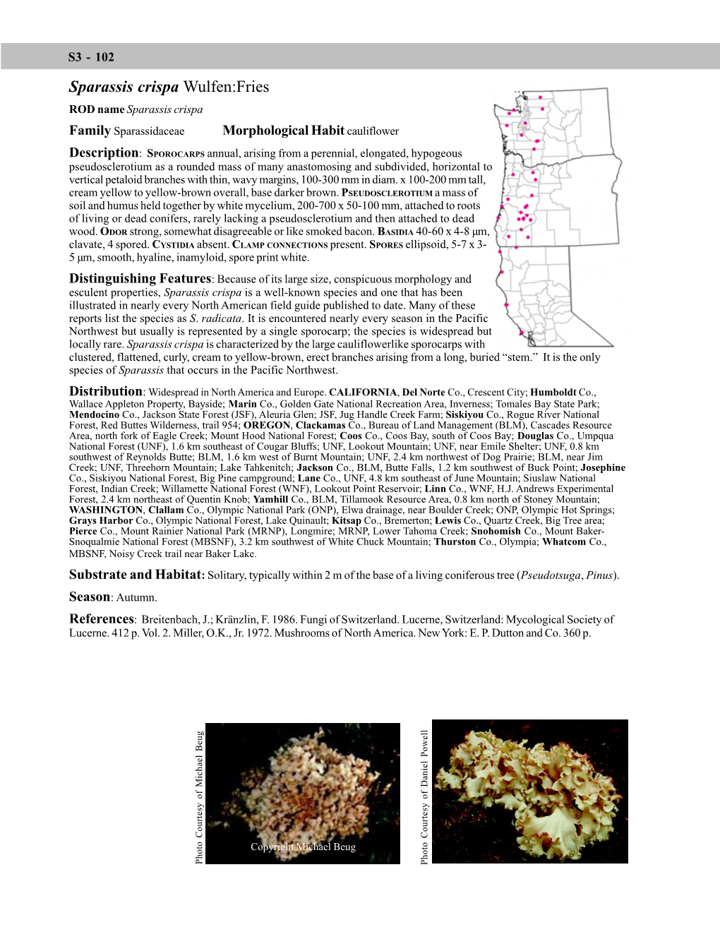 Sparassis Crispa Wulfen:Fries ROD Name Sparassis Crispa Family Sparassidaceae Morphological Habit Cauliflower