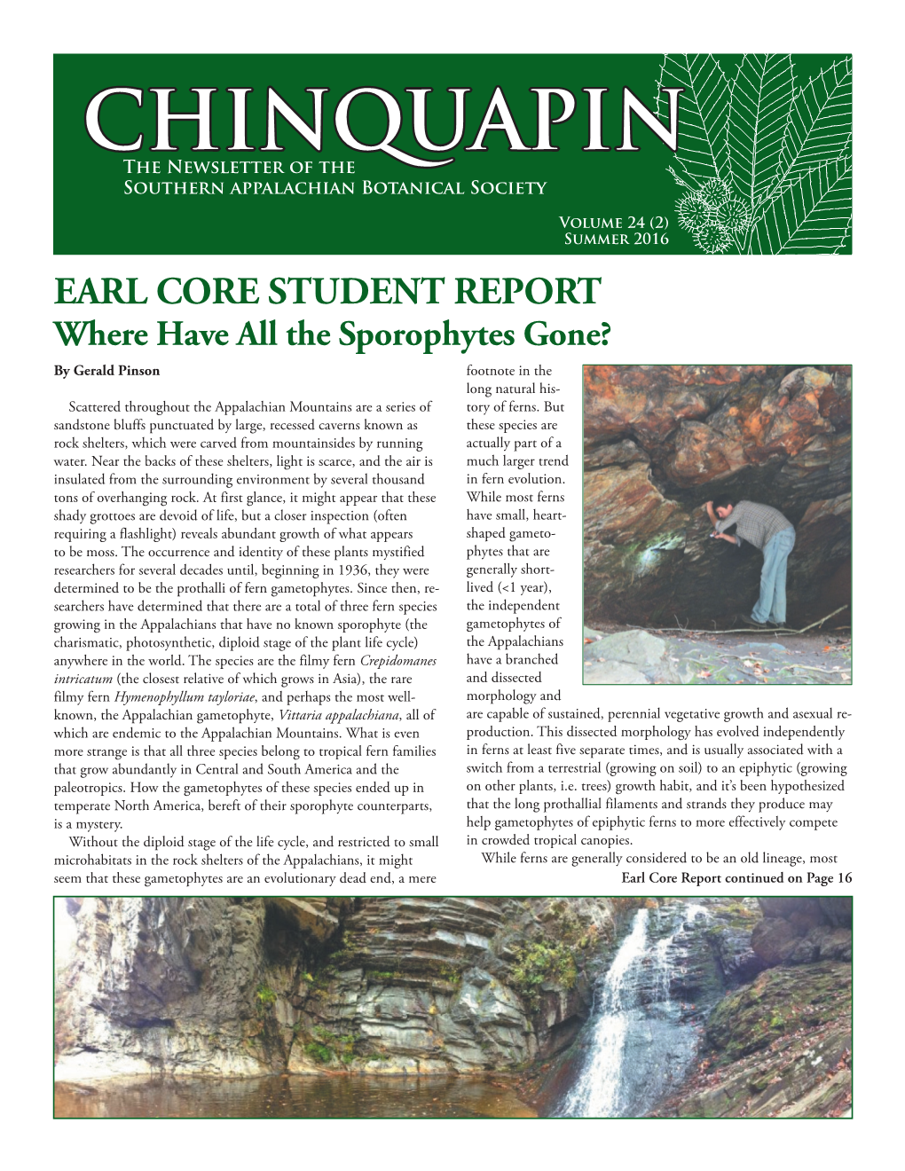 CHINQUAPIN the Newsletter of the Southern Appalachian Botanical Society