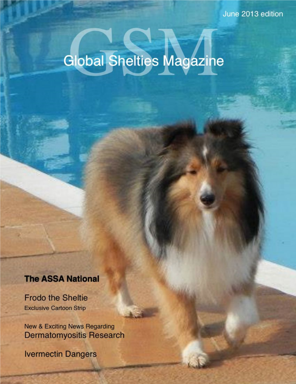 Global Shelties Magazine
