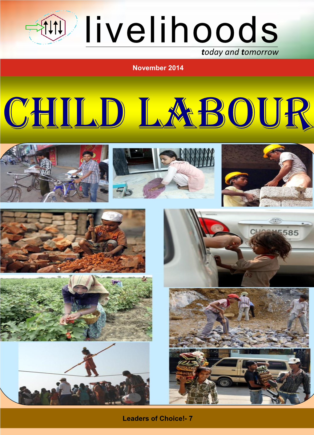 Livelihoods November 2014