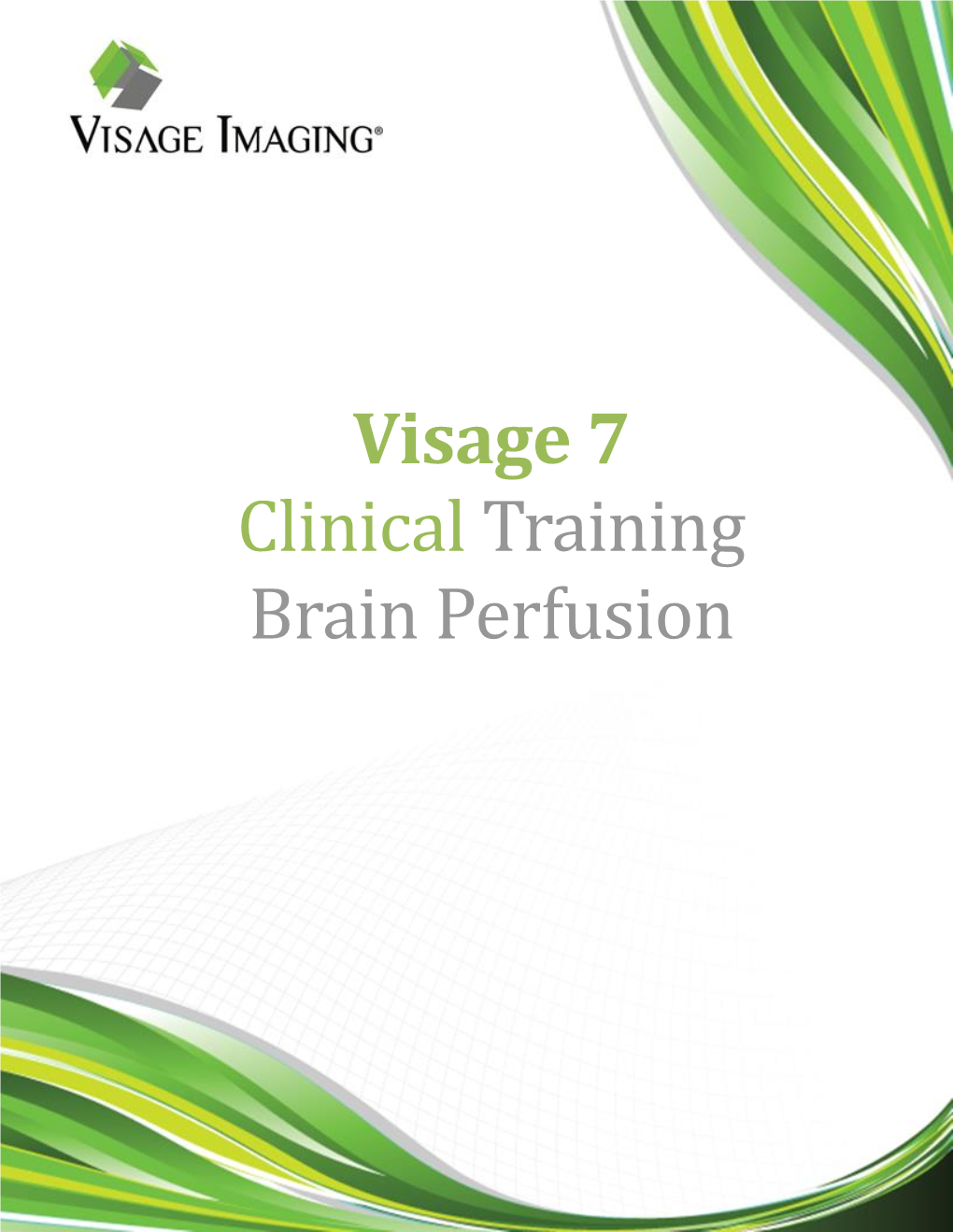 Visage 7 Clinical Training Brain Perfusion.PDF