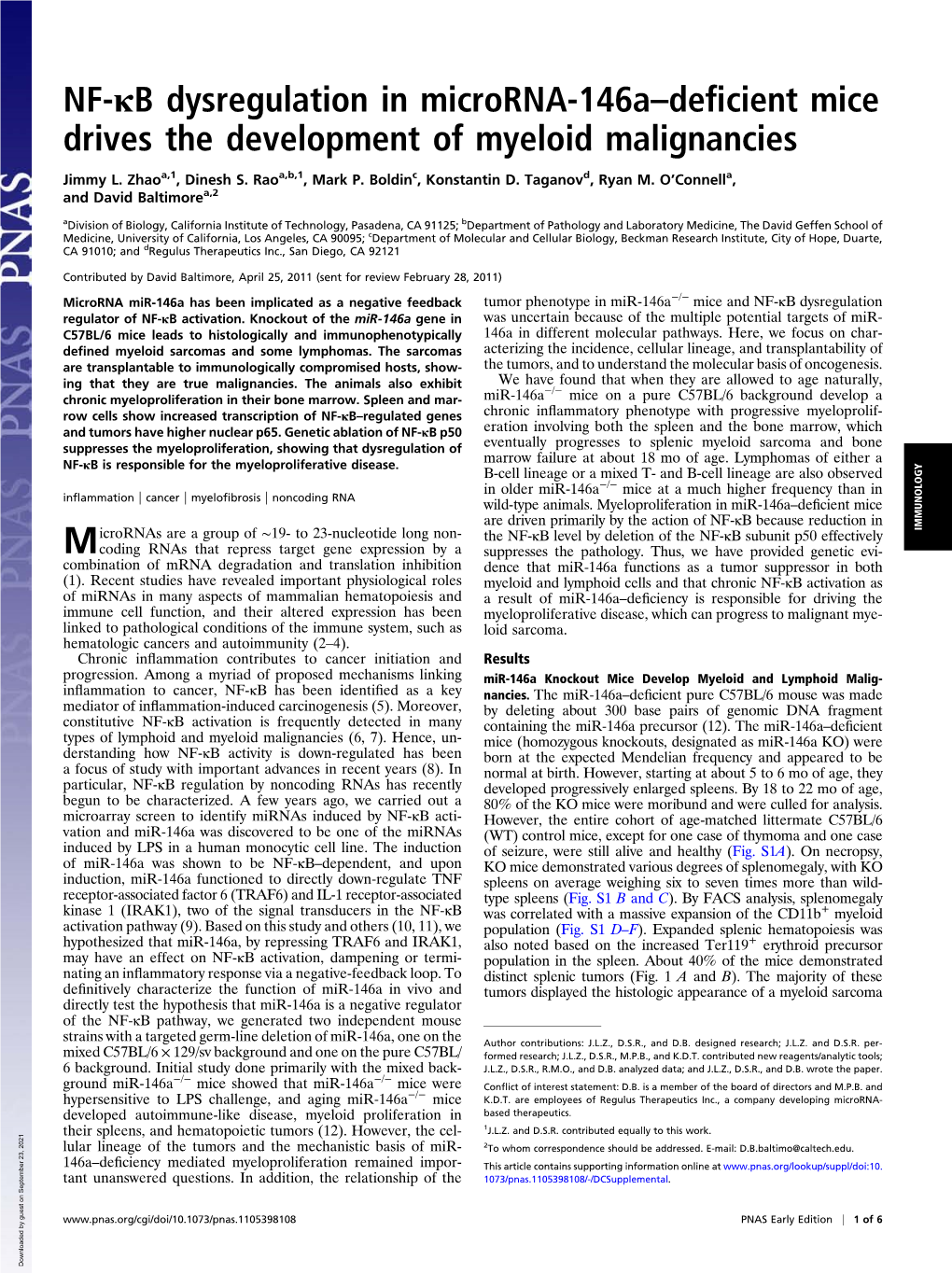 NF-Κb Dysregulation in Microrna-146A–Deficient Mice