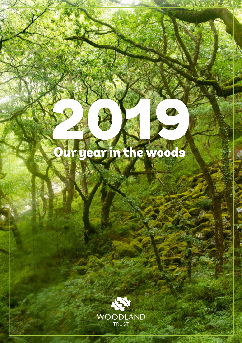 ANNUAL REVIEW 2019 REVIEW ANNUAL Most Successful Year to Date