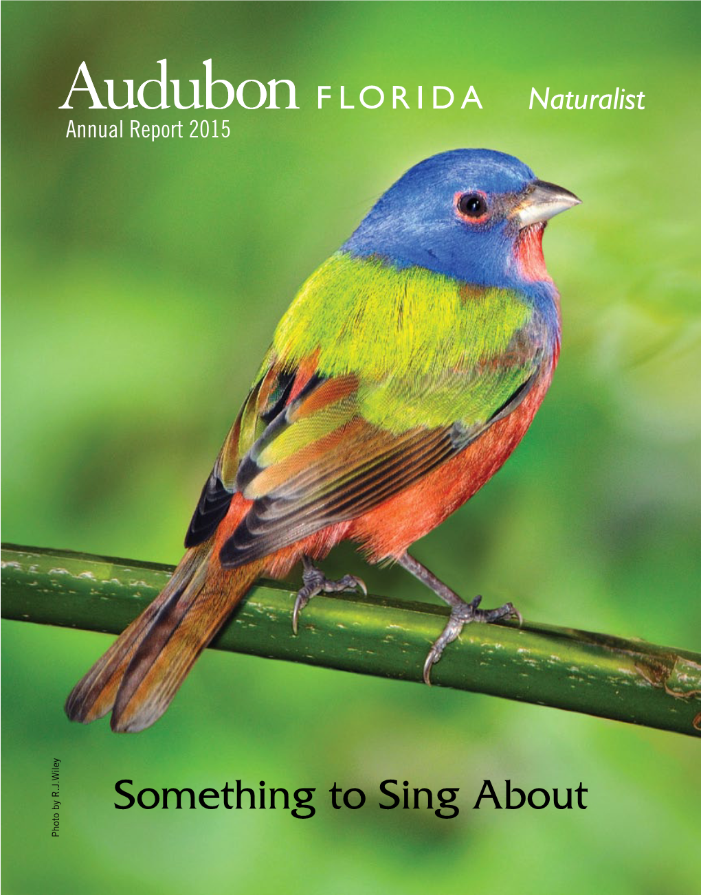 Audubon Florida Naturalist Magazine Winter 2015