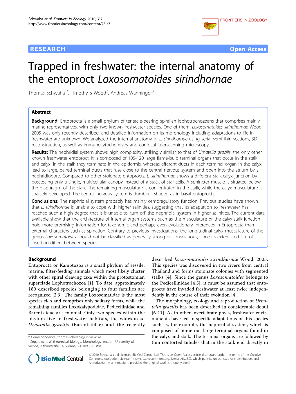 The Internal Anatomy of the Entoproct Loxosomatoides Sirindhornae Thomas Schwaha1*, Timothy S Wood2, Andreas Wanninger3