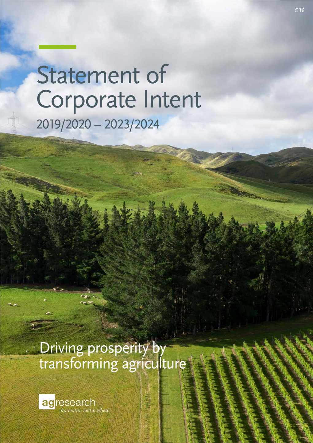 Statement of Corporate Intent 2019