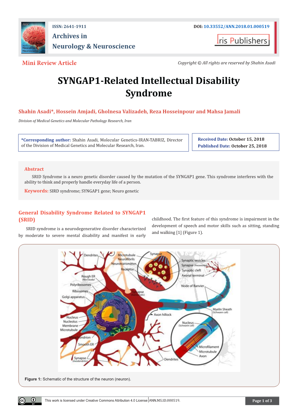 SYNGAP1-Related Intellectual Disability Syndrome