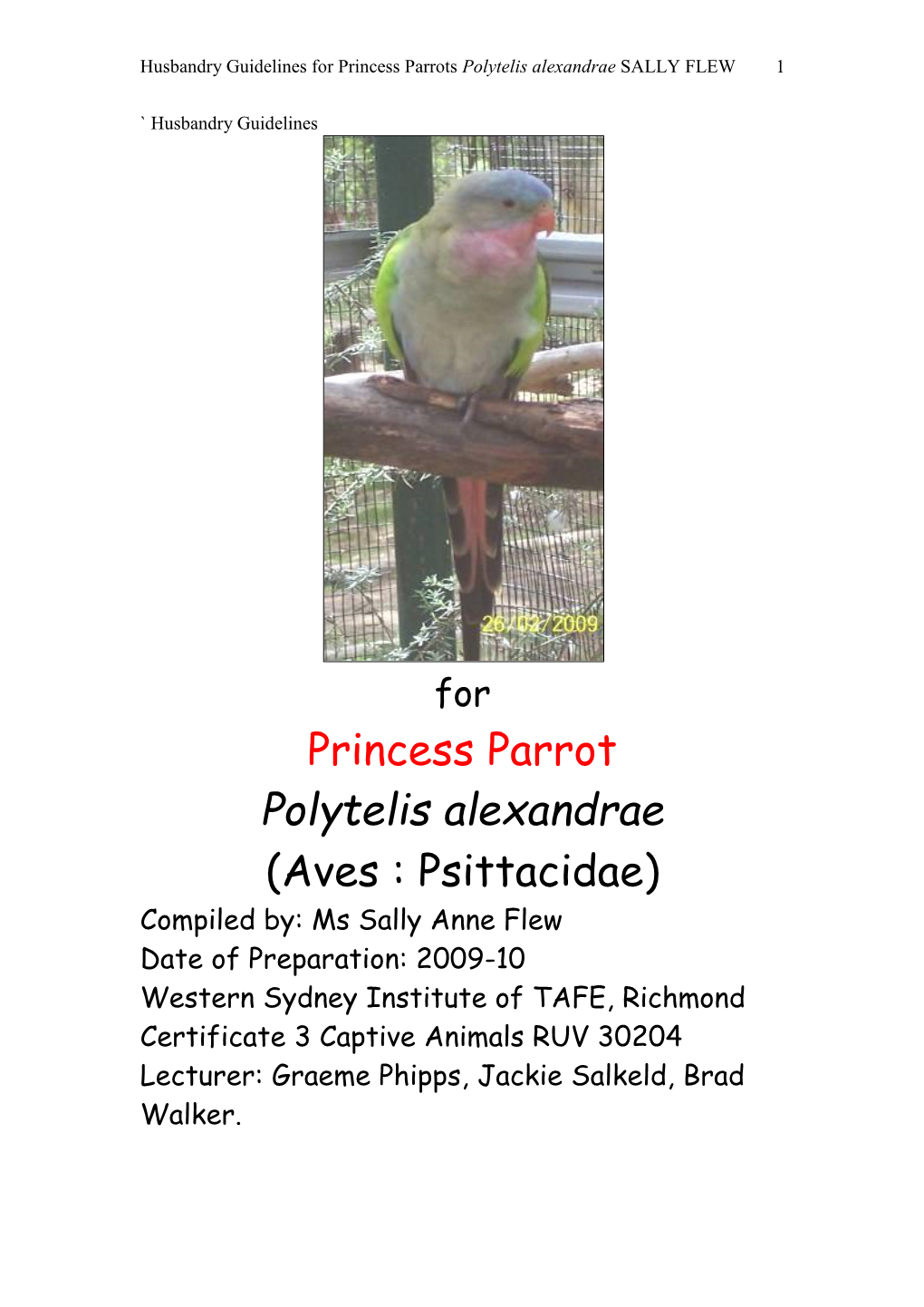 Princess Parrots Polytelis Alexandrae SALLY FLEW 1