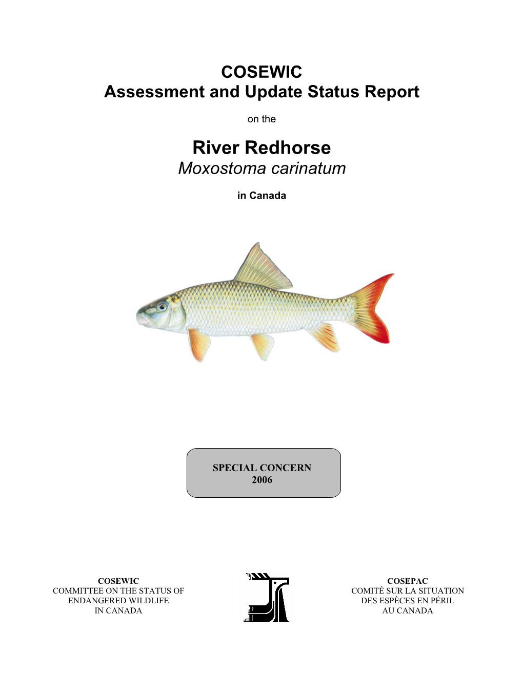 River Redhorse (Moxostoma Carinatum) Is One of Seven Species of the Genus Moxostoma in Canada