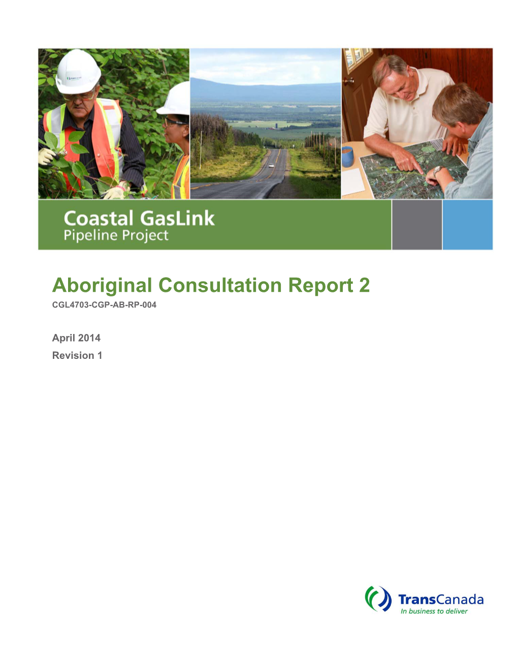 Consultation Report 1