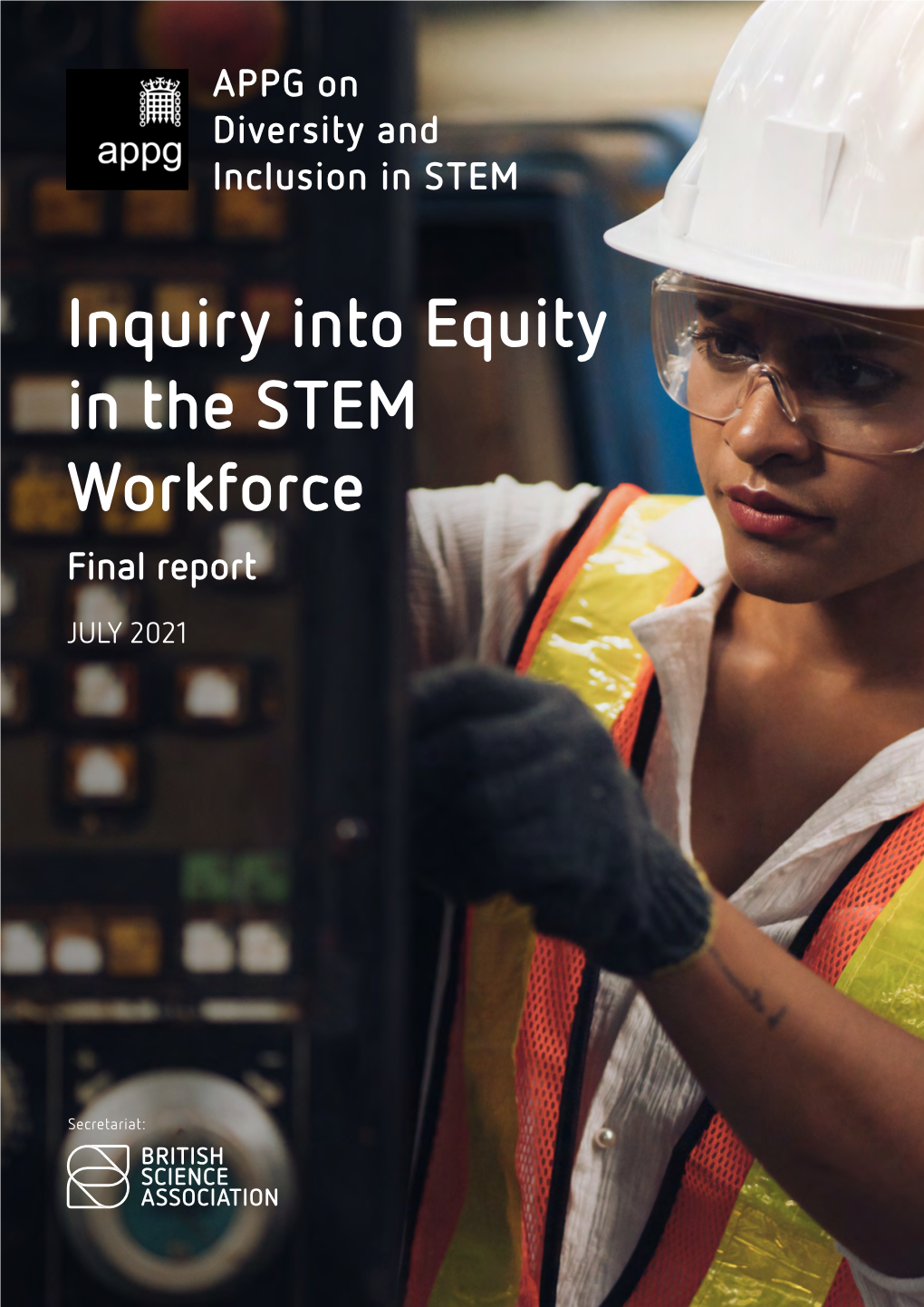 Inquiry Into Equity in the STEM Workforce Final Report