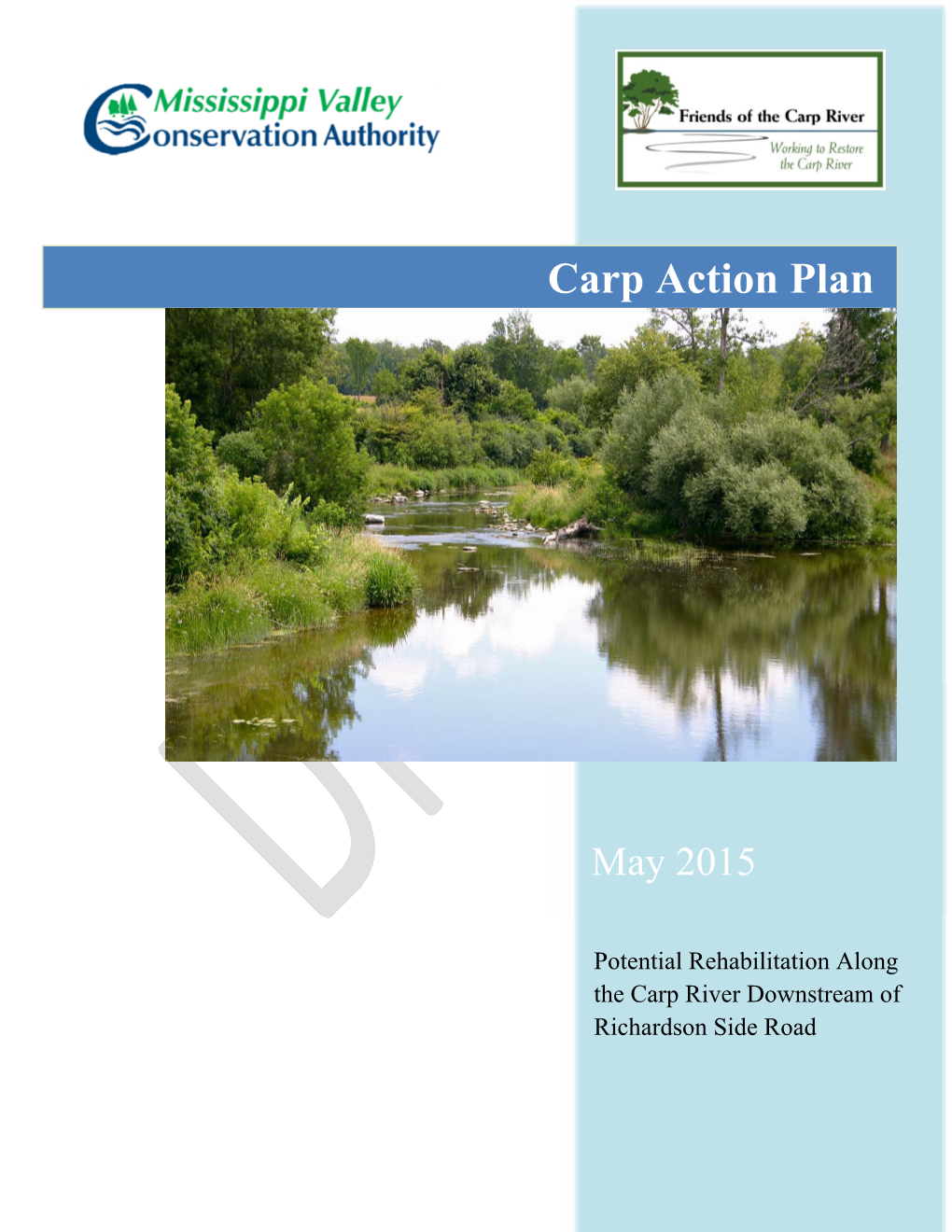 Carp River Action Plan