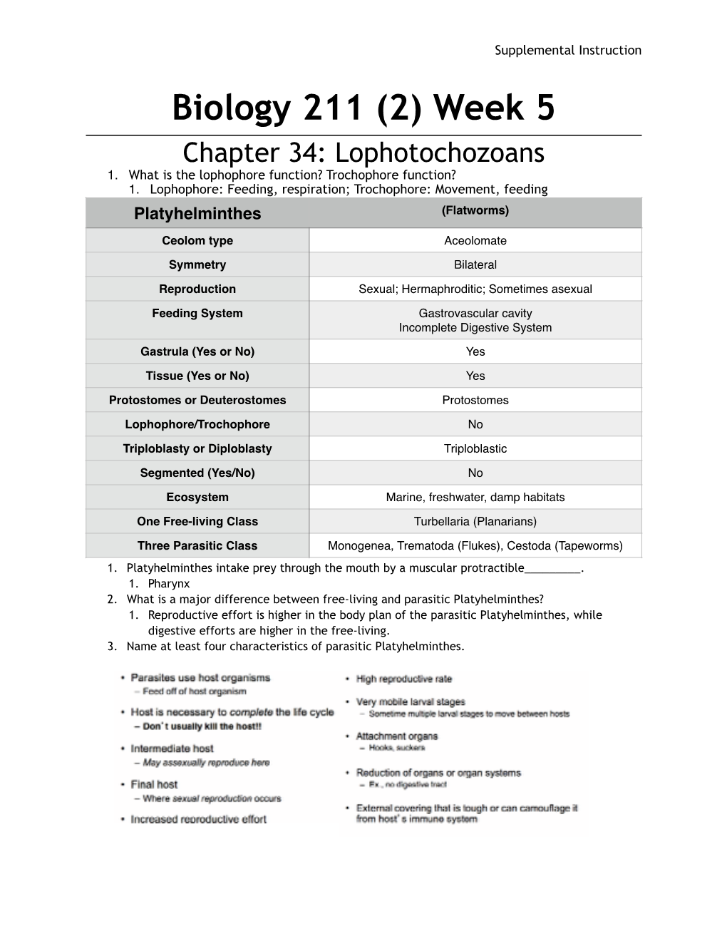 Biol 211 (2) Chapter 34 Lophotrochozoans