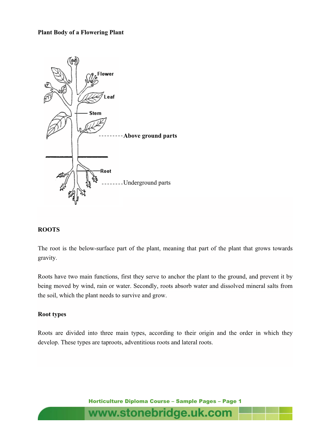 Plant Body of a Flowering Plant Above Ground Parts Underground Parts ROOTS the Root Is the Below-Surface Part of the Plant, Mean