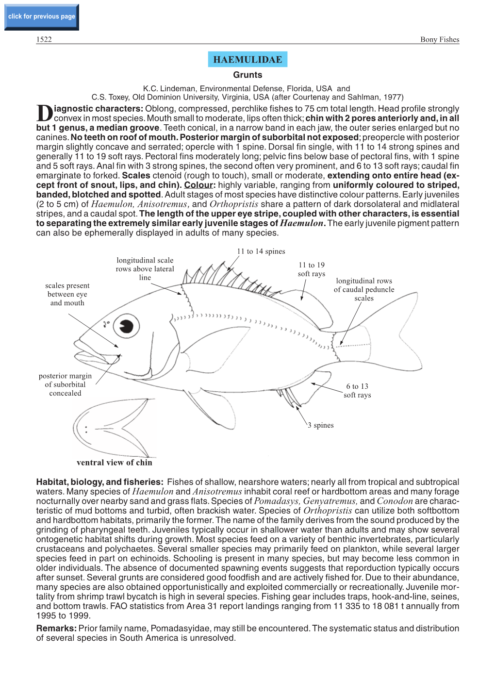 HAEMULIDAE Grunts K.C