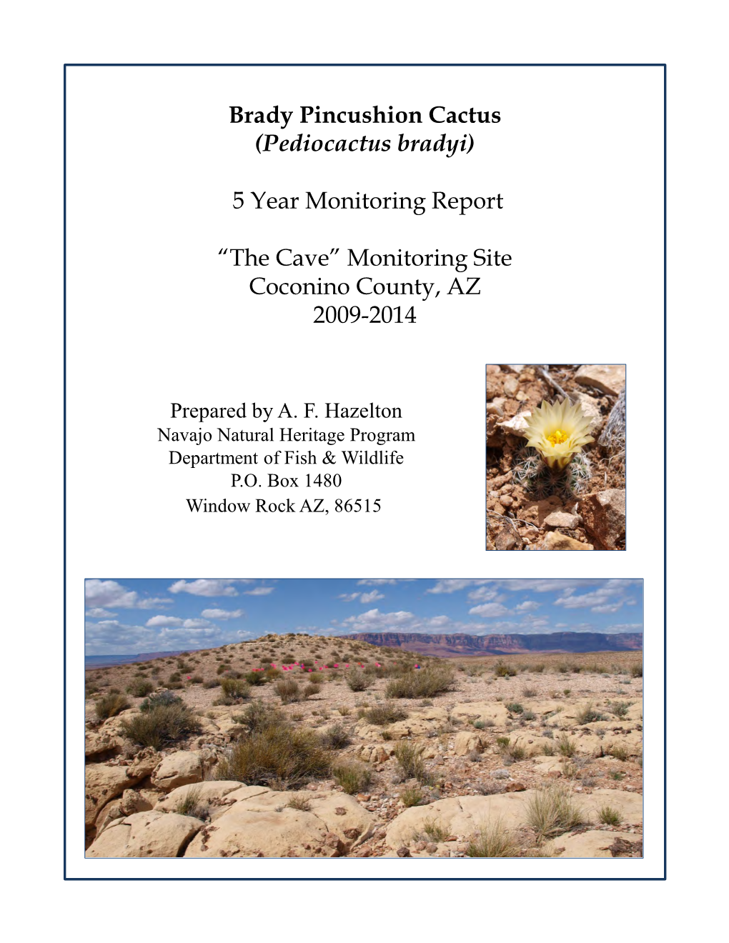 Brady Pincushion Cactus Monitoring Report 2009