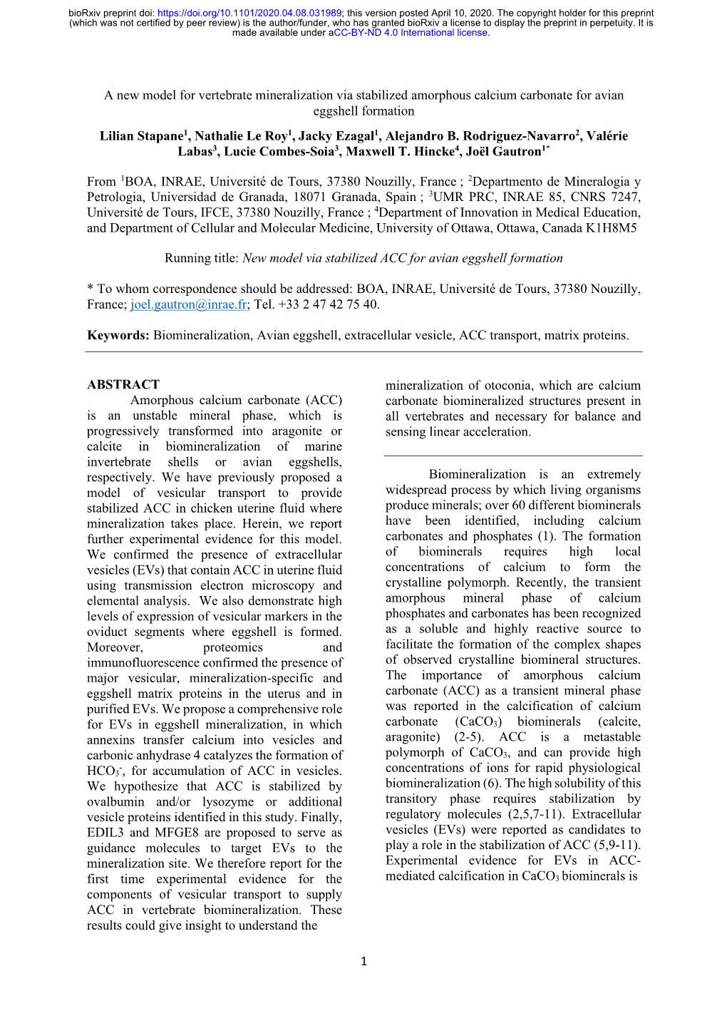 A New Model for Vertebrate Mineralization Via Stabilized