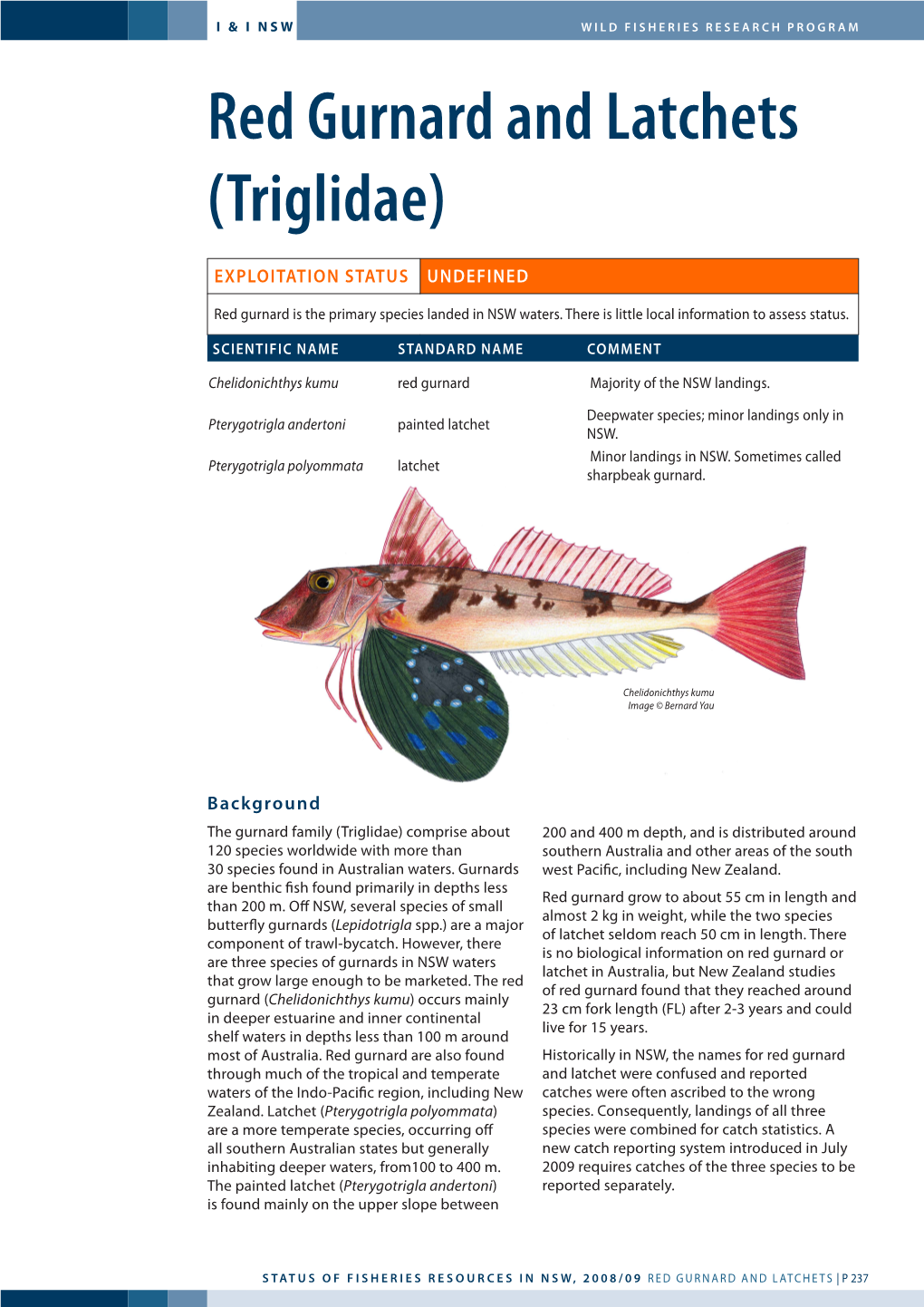 Red Gurnard and Latchets (Triglidae)