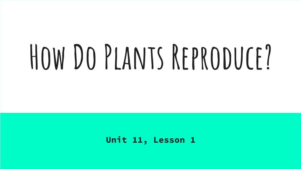 Unit 11, Lesson 1 How Does a Garden Grow?