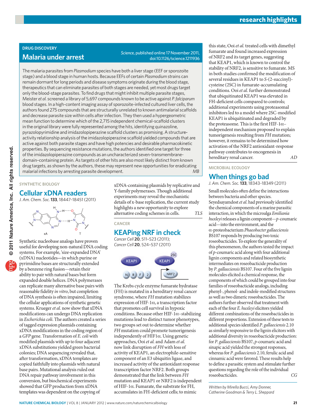 Synthetic Biology: Cellular Xdna Readers