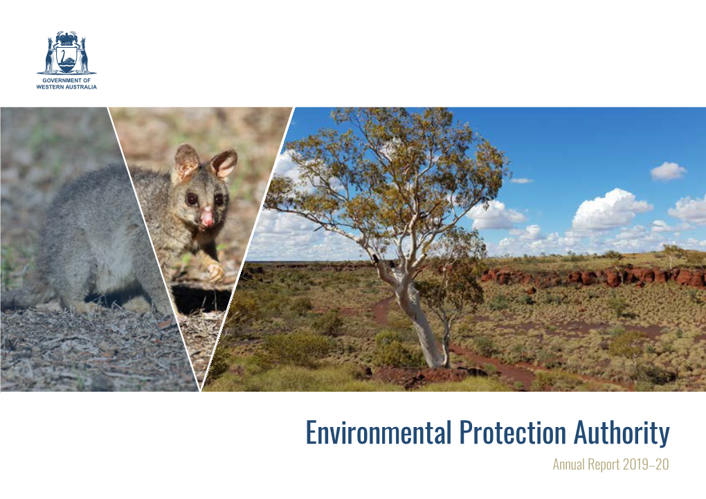 Environmental Protection Authority Annual Report 2019–20 About the EPA