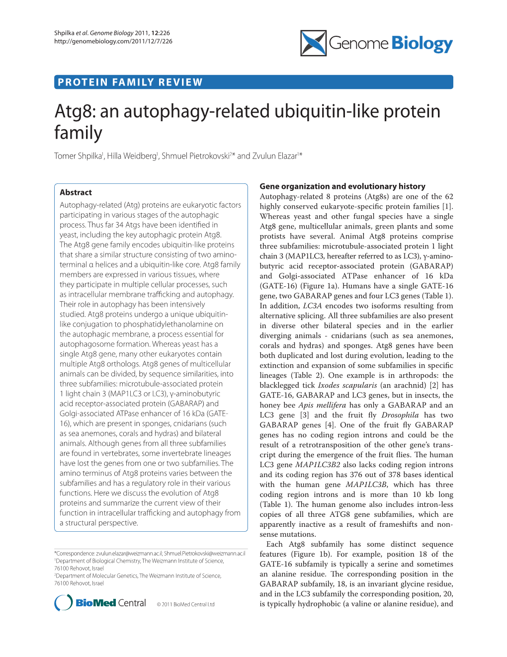 Atg8: an Autophagy-Related Ubiquitin-Like Protein Family Tomer Shpilka1, Hilla Weidberg1, Shmuel Pietrokovski2* and Zvulun Elazar1*