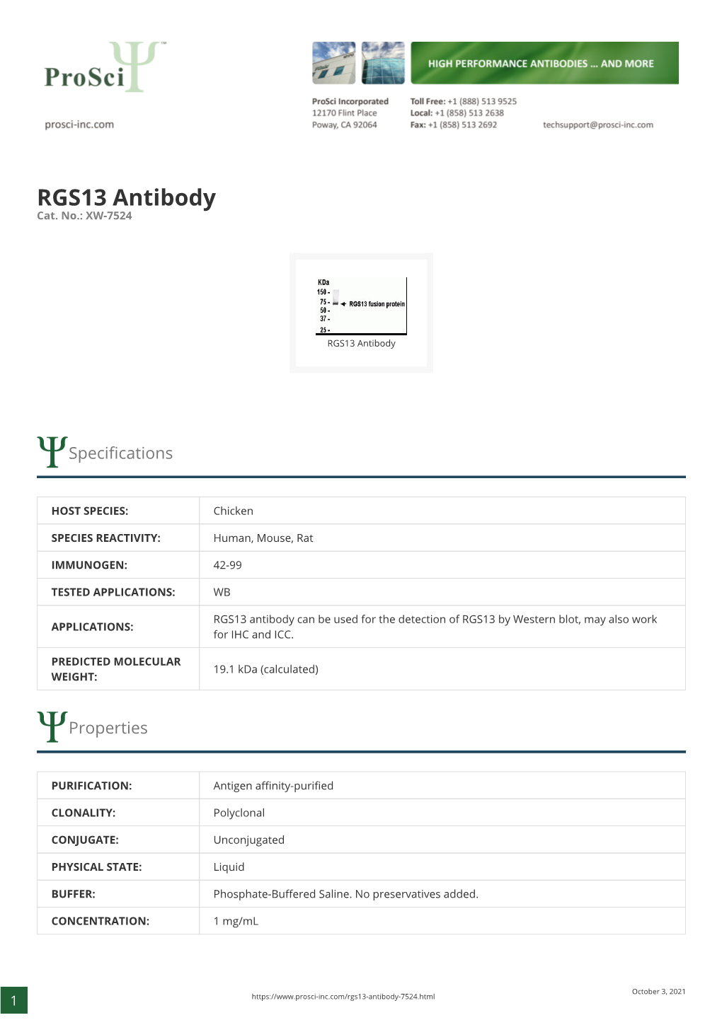RGS13 Antibody Cat