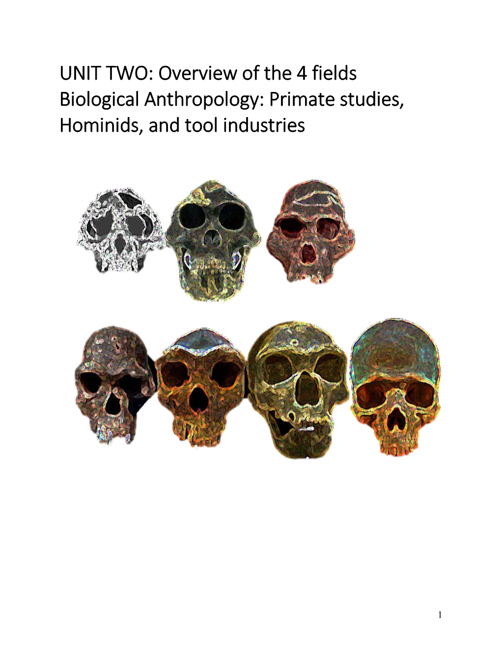 UNIT TWO: Overview of the 4 Fields Biological Anthropology: Primate Studies, Hominids, and Tool Industries