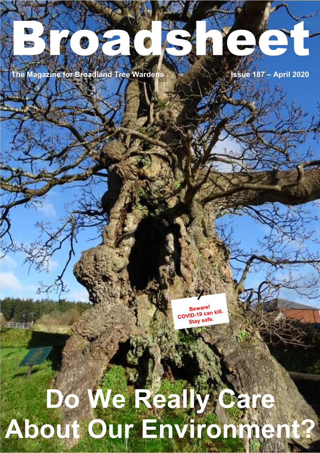 The Newsletter for Broadland Tree Wardens