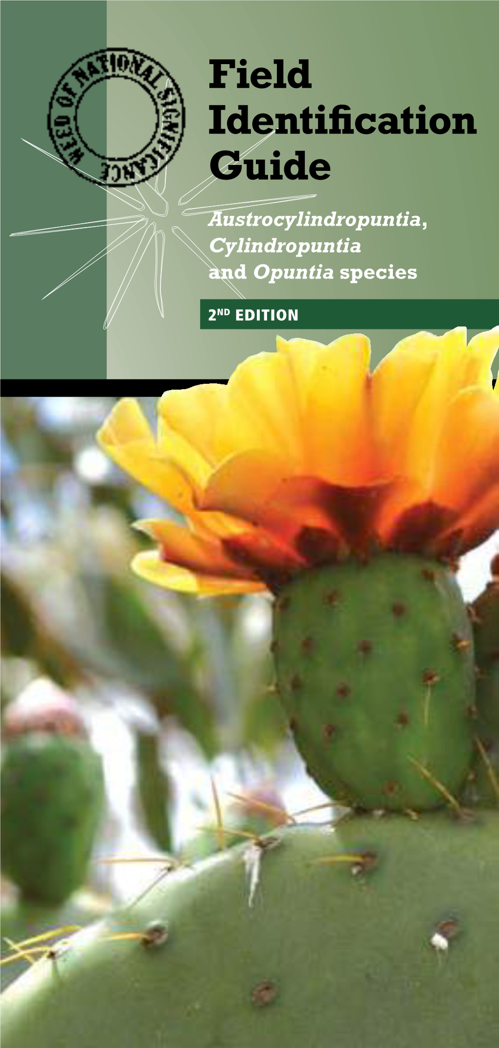 Field Identification Guide Austrocylindropuntia, Cylindropuntia and Opuntia Species