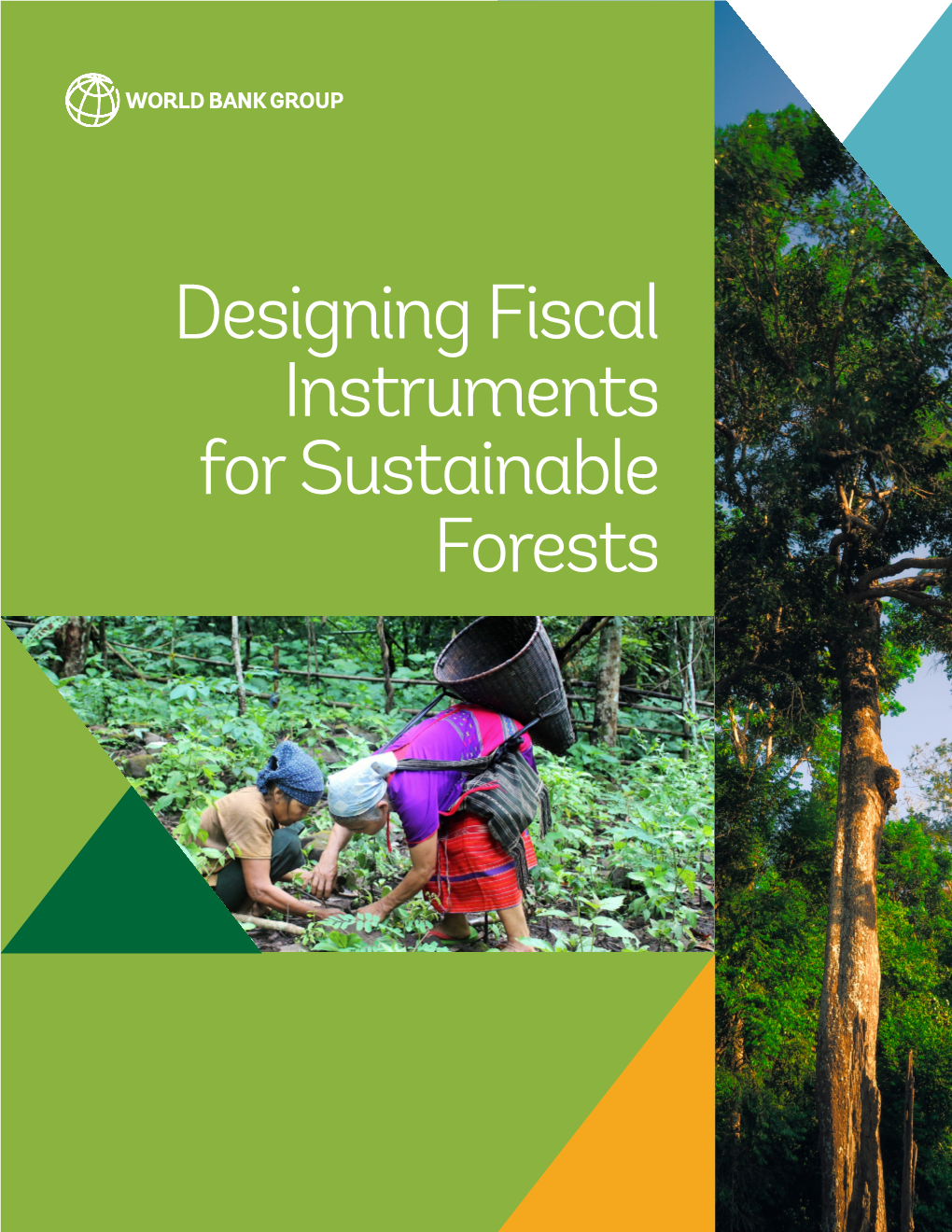 Designing Fiscal Instruments for Sustainable Forests