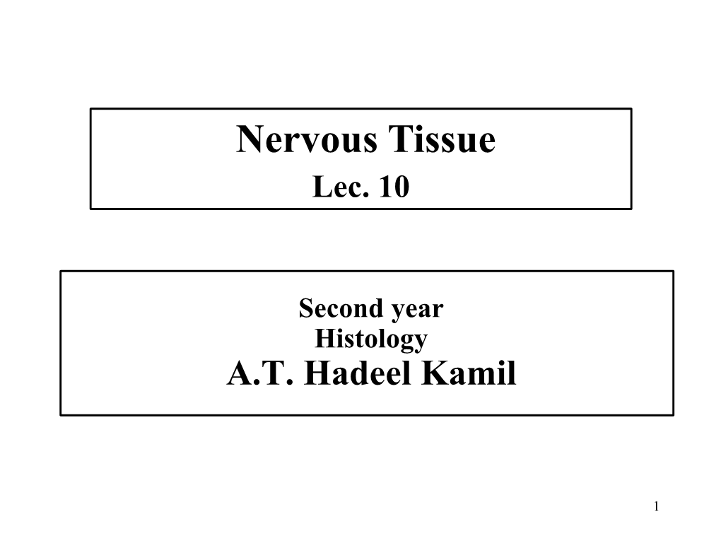 Nervous Tissue Lec