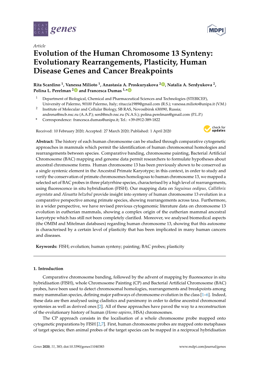 Evolution of the Human Chromosome 13 Synteny: Evolutionary Rearrangements, Plasticity, Human Disease Genes and Cancer Breakpoints