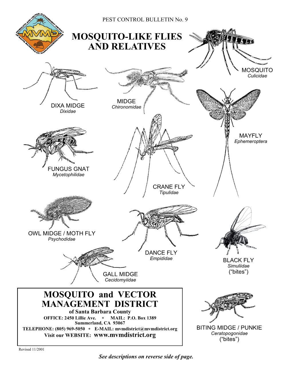 Mosquito-Like Flies and Relatives