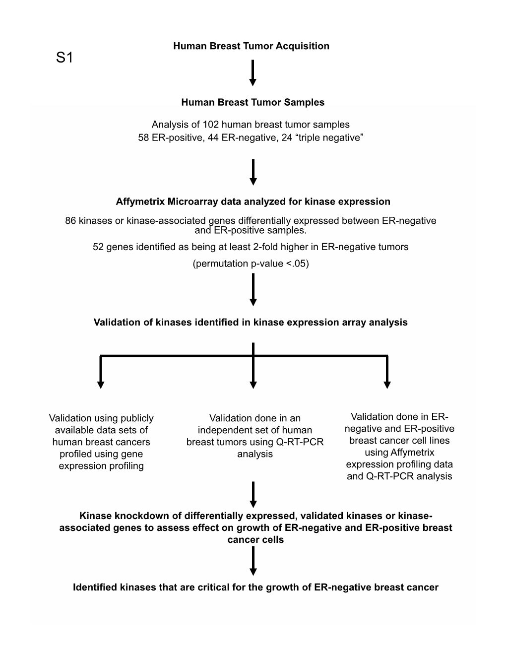 Supplementary Data