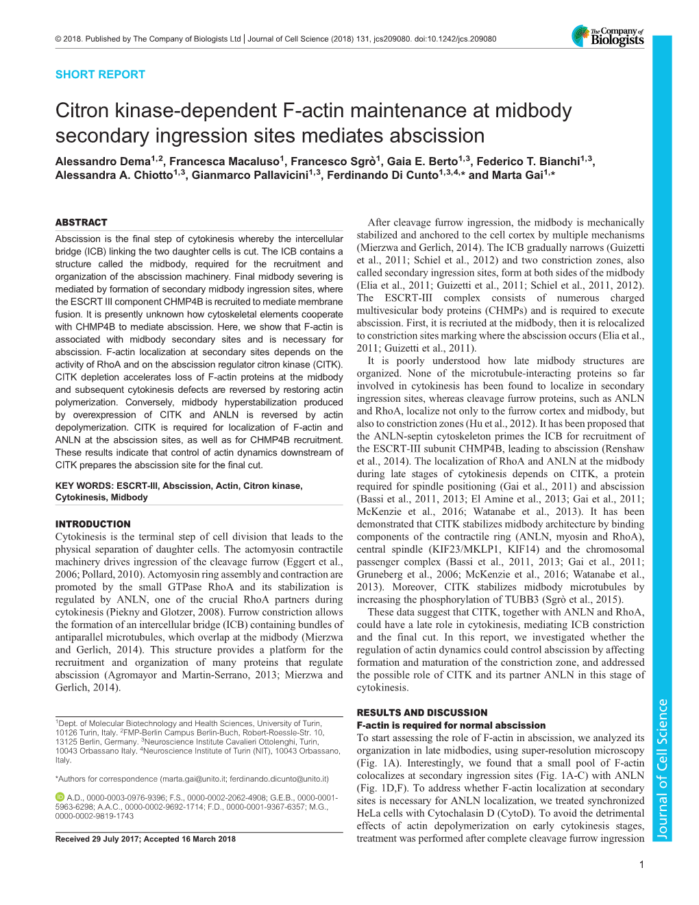 Citron Kinase-Dependent F-Actin Maintenance at Midbody Secondary Ingression Sites Mediates Abscission