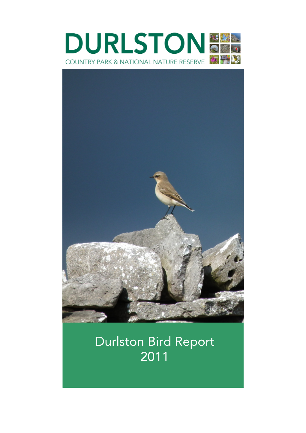 Durlston Bird Report 2011