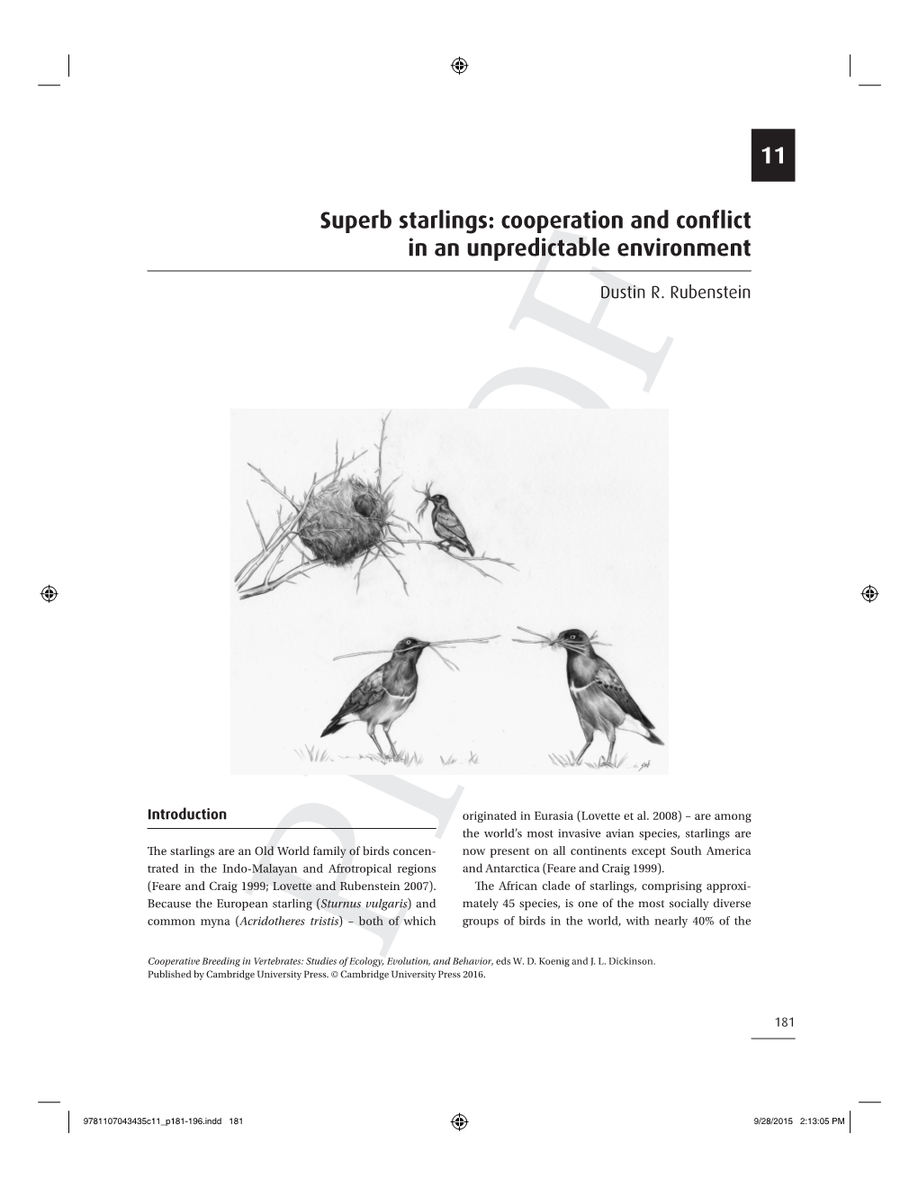 Superb Starlings: Cooperation and Conflict in an Unpredictable Environment