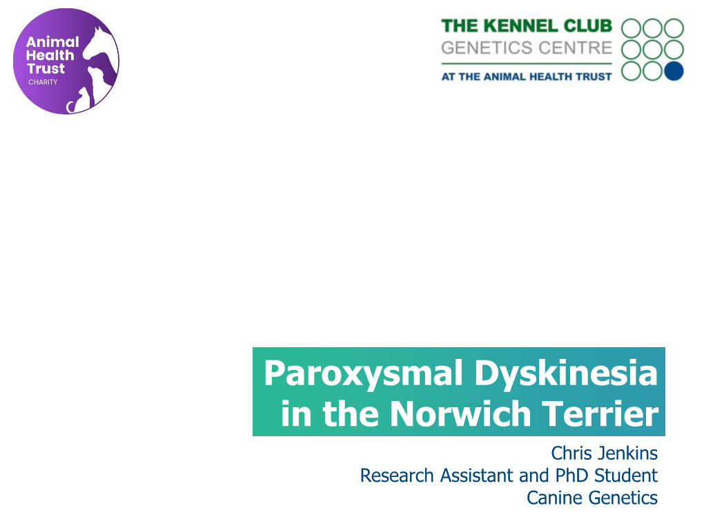 Paroxysmal Dyskinesia in the Norwich Terrier
