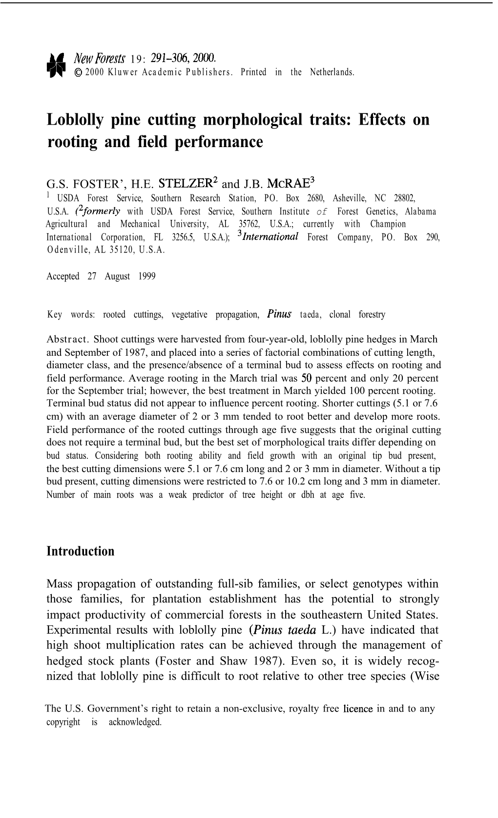 Loblolly Pine Cutting Morphological Traits: Effects on Rooting and Field Performance