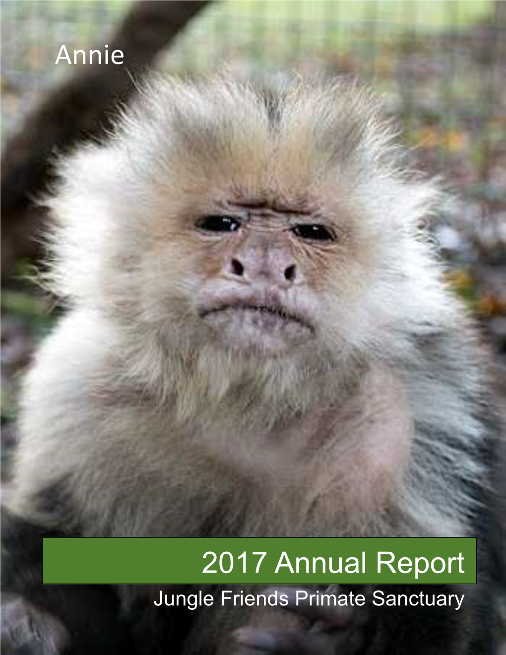 2017 Annual Report Annie