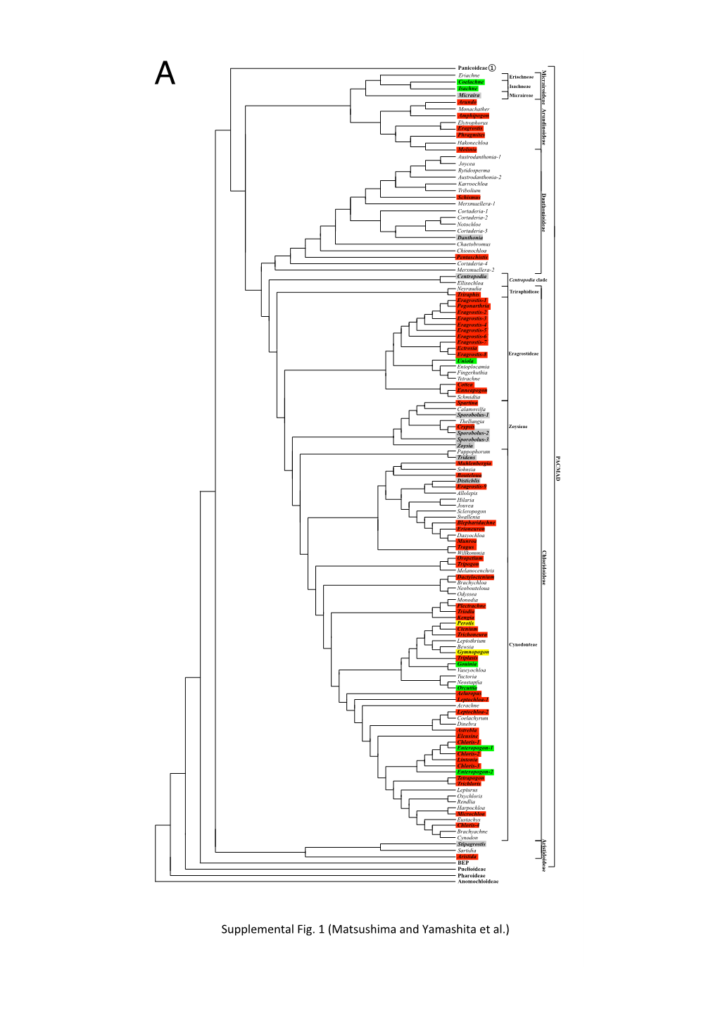 Supplemental Fig. 1