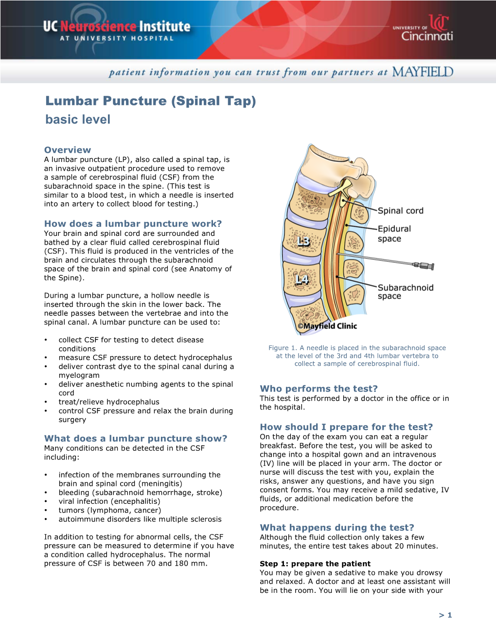 Lumbar Puncture (Spinal Tap) Basic Level