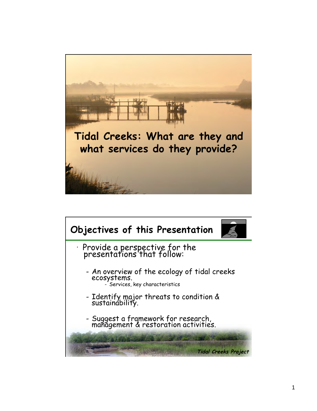 Tidal Creeks: What Are They and What Services Do They Provide?