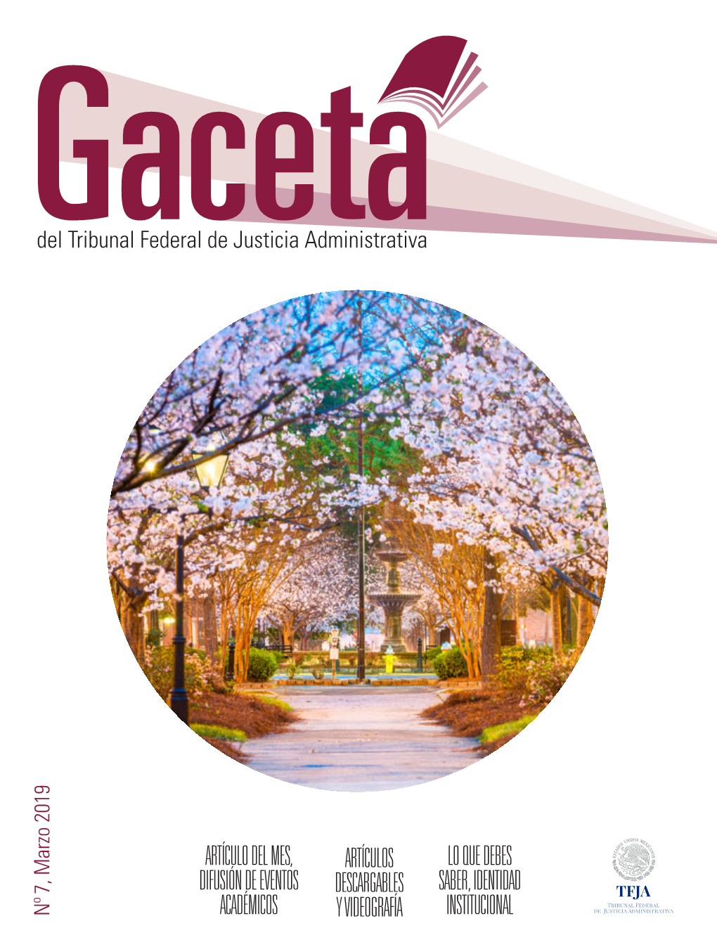 GACETA N 7 MARZO 2019X.Pdf