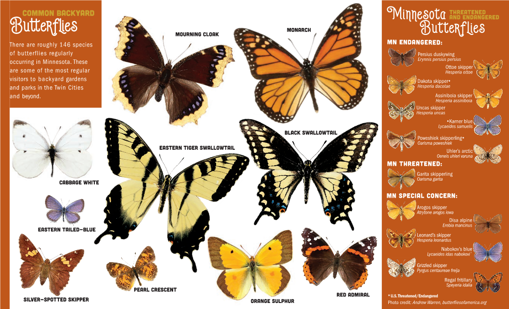MN Plant for Pollinators Brochure (ENG): (Subd. 05J1)