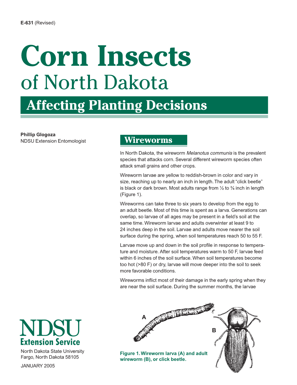 Corn Insects of North Dakota Affecting Planting Decisions
